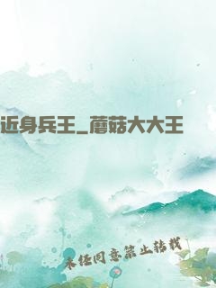 近身兵王