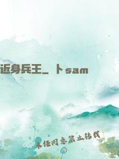 近身兵王