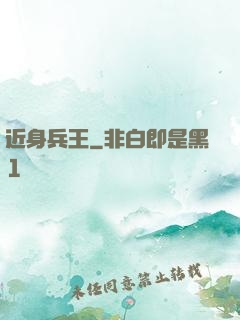 近身兵王