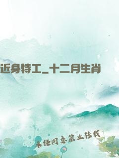 近身特工