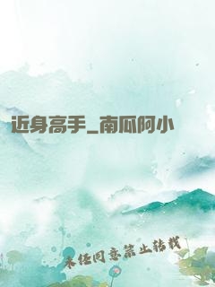 近身高手