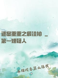 迷案重重之最佳拍檔