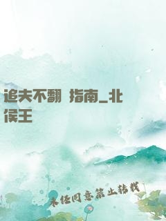 追夫不翻車指南