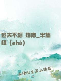 追夫不翻車指南