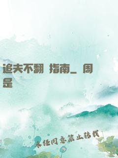 追夫不翻車指南