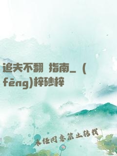 追夫不翻車指南