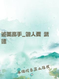 追美高手