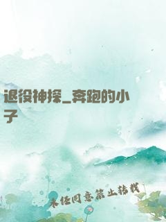 退役神探