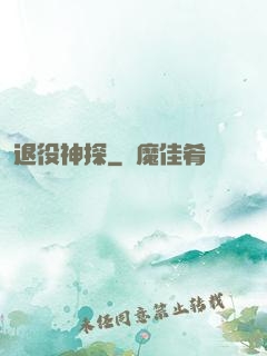 退役神探