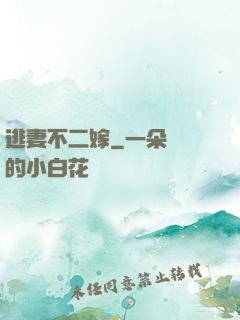 逃妻不二嫁
