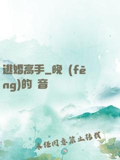逃婚高手