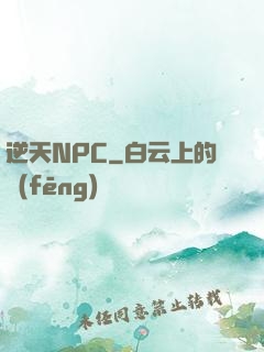 逆天NPC