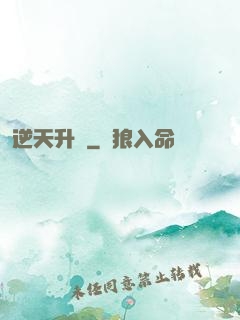 逆天升級