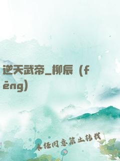 逆天武帝