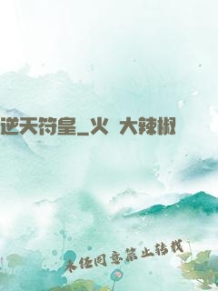 逆天符皇