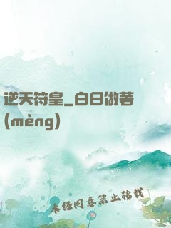 逆天符皇