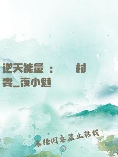 逆天能量師：絕寵廢材妻