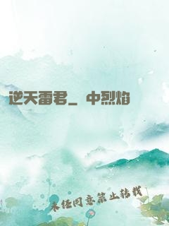 逆天雷君
