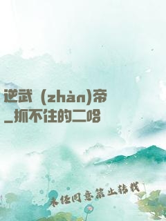 逆武戰(zhàn)帝