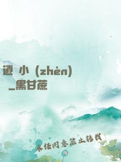 逍遙小鎮(zhèn)長