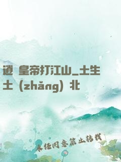 逍遙皇帝打江山