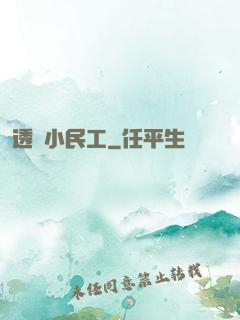透視小民工