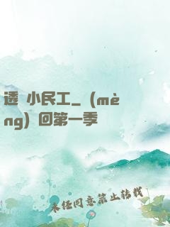 透視小民工
