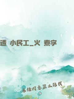 透視小民工