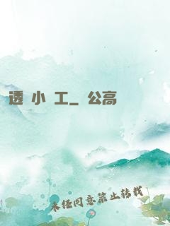 透視小礦工