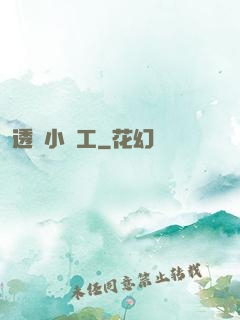 透視小礦工