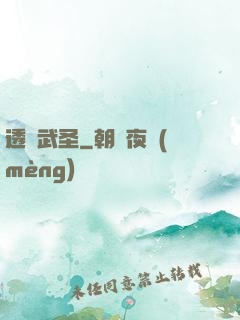 透視武圣