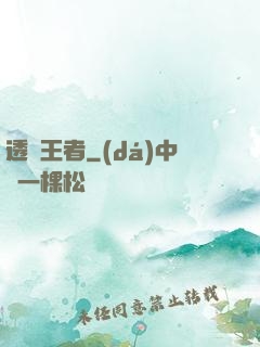 透視王者