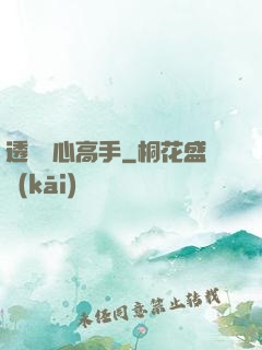 透視貼心高手
