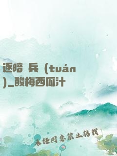 逐暗傭兵團(tuán)