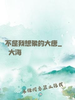 這不是我想象的大唐