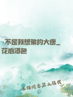 這不是我想象的大唐