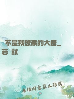 這不是我想象的大唐