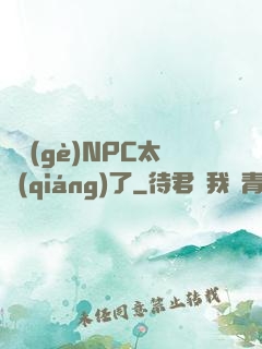 這個(gè)NPC太強(qiáng)了