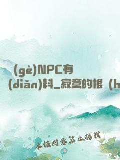 這個(gè)NPC有點(diǎn)料