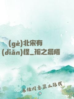 這個(gè)北宋有點(diǎn)怪