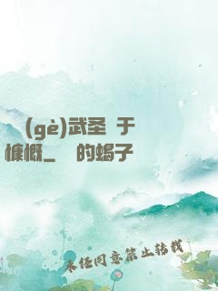 這個(gè)武圣過于慷慨