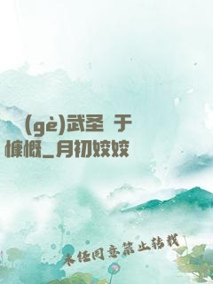 這個(gè)武圣過于慷慨