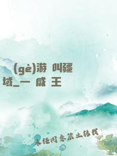 這個(gè)游戲叫疆域