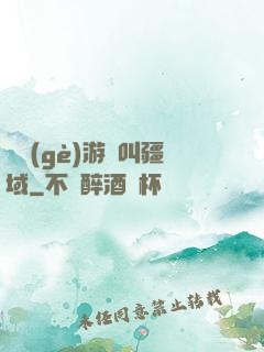 這個(gè)游戲叫疆域