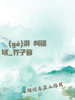 這個(gè)游戲叫疆域
