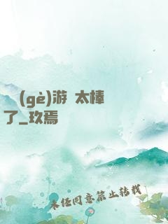 這個(gè)游戲太棒了