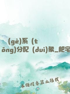 這個(gè)系統(tǒng)分配對(duì)象