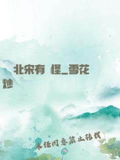 這個北宋有點怪
