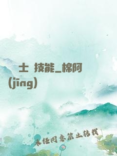 這個騎士沒技能