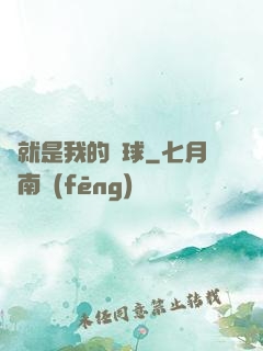 這就是我的籃球